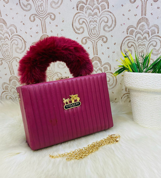 Coach Hand Bag